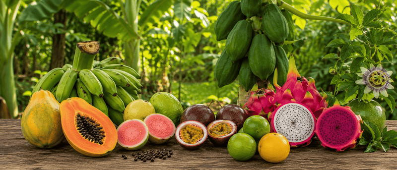 Top Fast-Growing Tropical Fruits You Can Grow from Seeds