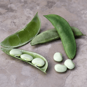 Lima Bean Seeds