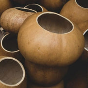 Brown Bushel Gourd Seeds