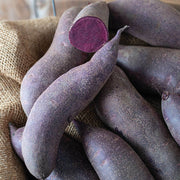 Purple Sweet Potato Seeds