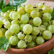 American Gooseberry Seeds