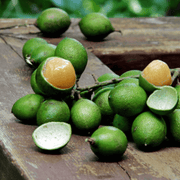 Lemon Sweet Spanish Lime Seeds