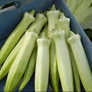 Blondy Okra Seeds