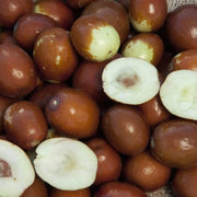 Sugar Cane Jujube Seeds