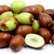 Sherwood Jujube Seeds