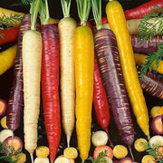 Rainbow Mix Carrot Seeds