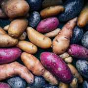 Mixed Sweet Potato Seeds