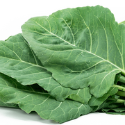 Hearty Collard Greens Seeds