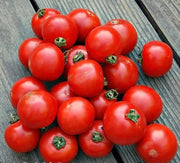 Sub Arctic Plenty Tomato Seeds