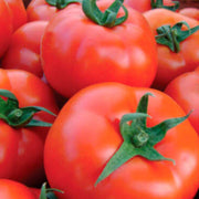 Deep Red Tomato Seeds