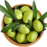 Olive Seeds - For Home Gardens Seeds