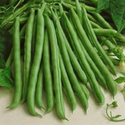 Missouri Wonder Pole Bean Seeds