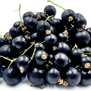 General Currant Seeds