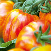 Red Yellow Tomato Seeds