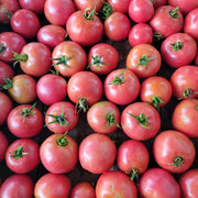 Pink and Yellow Tomato Seeds