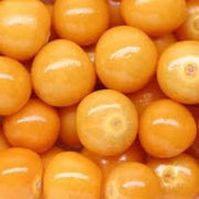 Papadennis Tomato Seeds