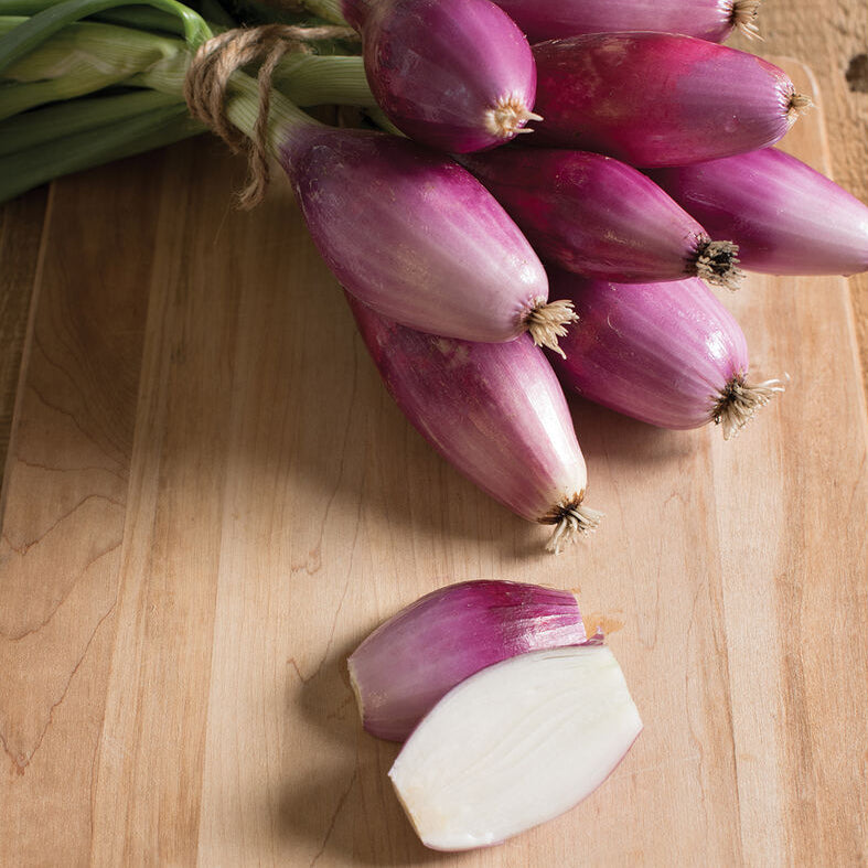 Red Long of Tropea Onion Seeds