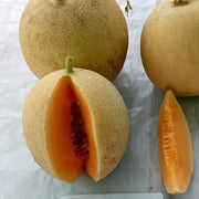 Brown Muskmelon Melon Seeds