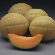 Brown Cantaloupe Melon Seeds