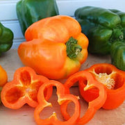 Orange Bell Pepper Seeds