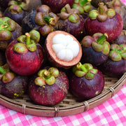 Mangosteen Seeds - for Home Gardens Seeds