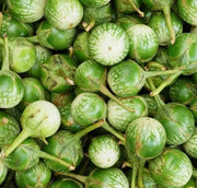Thai Round Eggplant Seeds