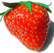 Orange Strawberry Seeds
