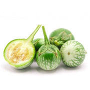 Thai Chao Eggplant Seeds