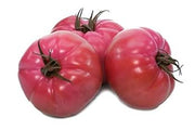 Dark Pink Tomato Seeds