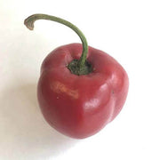 Red Manzano Rocoto Pepper Seeds