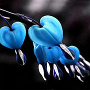 Blue Bleeding Heart Seeds