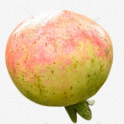 Green Pink Pomegranate Seeds