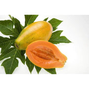 Dwarf Cylindrical Papaya Seeds