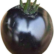 Giant Black Tomato Seeds