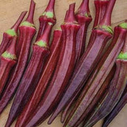 Maroon Red Okra Seeds