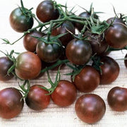 Black Cherry Tomato Seeds
