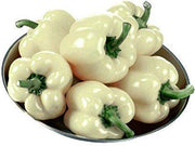 Capsicum annuum Pepper Seeds