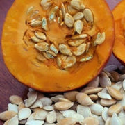 Cucurbita Pepo Pumpkin Seeds