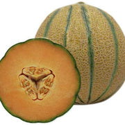 Cantaloupe Melon Seeds, Vegetabe