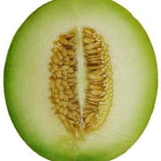 Rocky Ford Green Flesh Melon Seeds