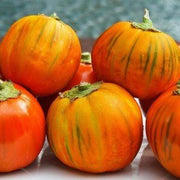 Orange Eggplant Seeds