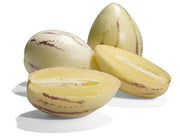 White Purple Pepino Seeds