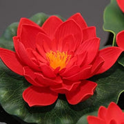 Royal Lotus Seeds