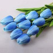 Sky Blue Tulip Seeds