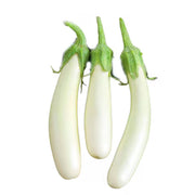 White Long Eggplant Seeds