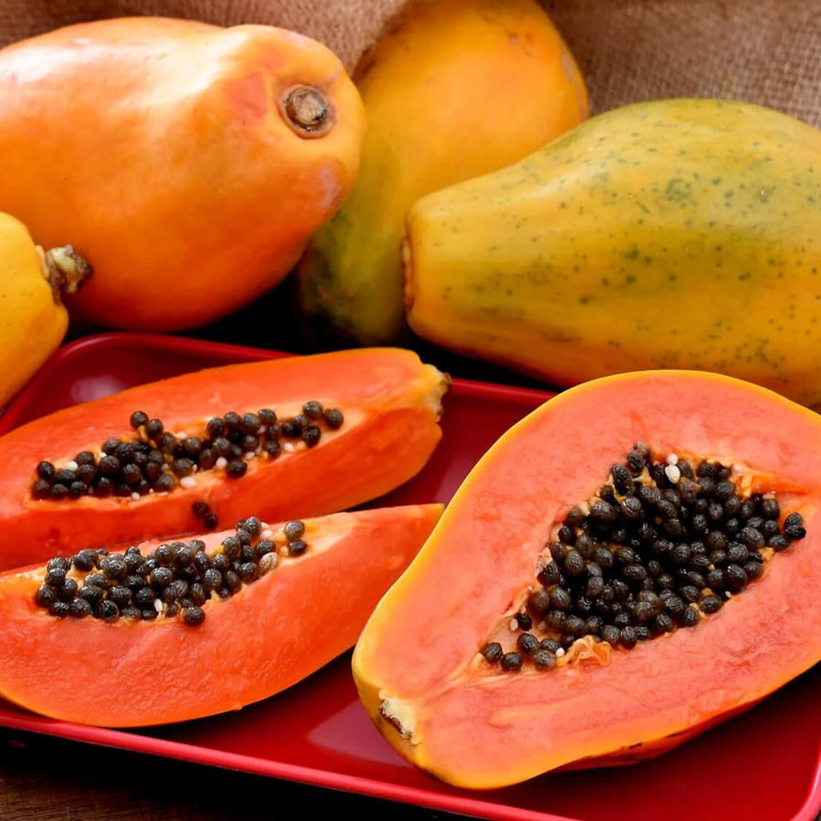 Florida Red Papaya Seeds