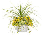 Super bell Lemon Slice Calibrachoa Seeds