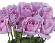 Sterling Silver Rose Seeds