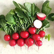 Cherry Belle Radish Seeds