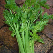Chinese Celery Seeds